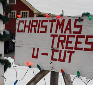 Hansens Christams Trees Sign